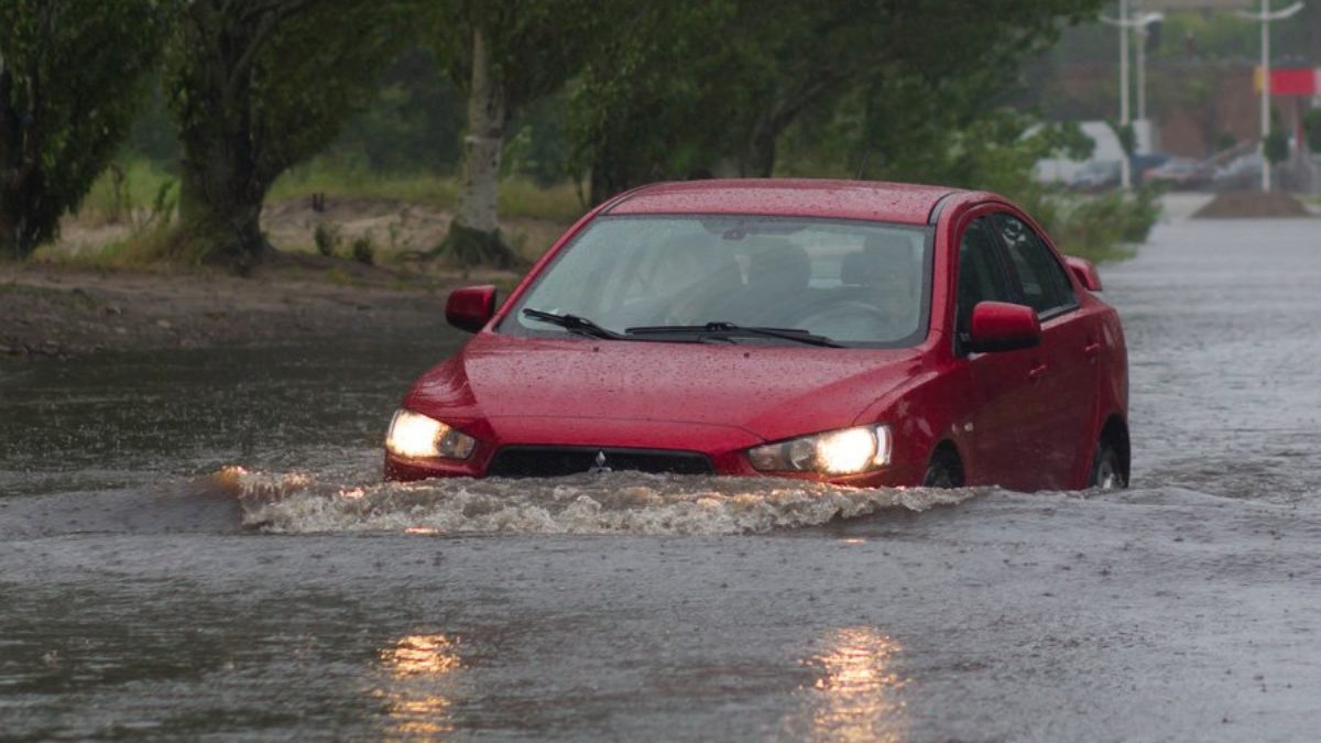 Flood cars for sale Idea