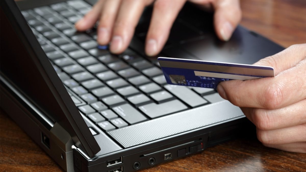 All You Need to Know About Credit Card Fraud - Scam Detector
